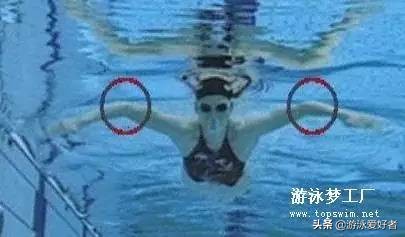 教你蛙泳技巧,蛙泳技巧全部