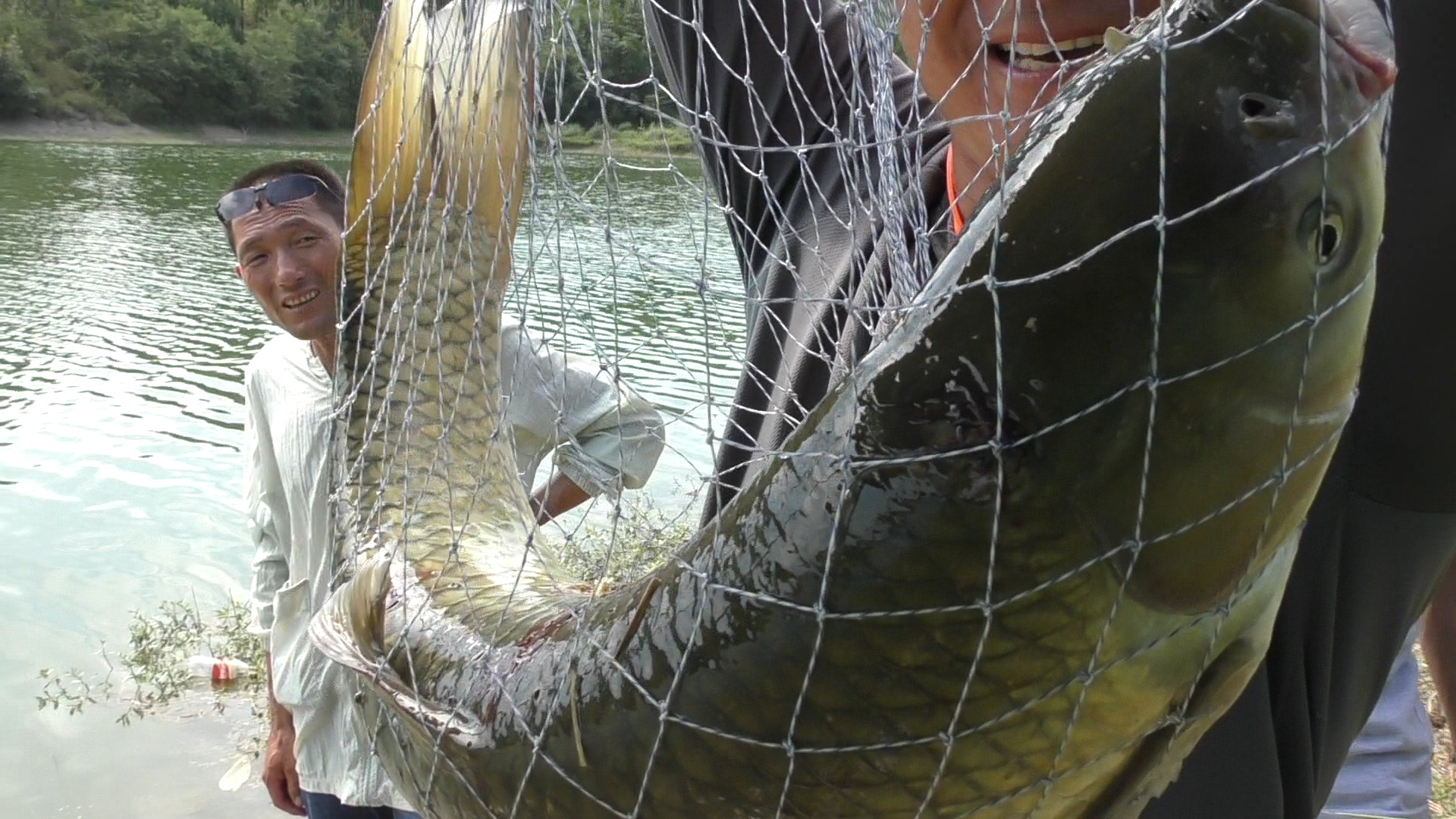野钓大草鱼实用绝招,野钓草鱼上浮的正确钓方法与技巧