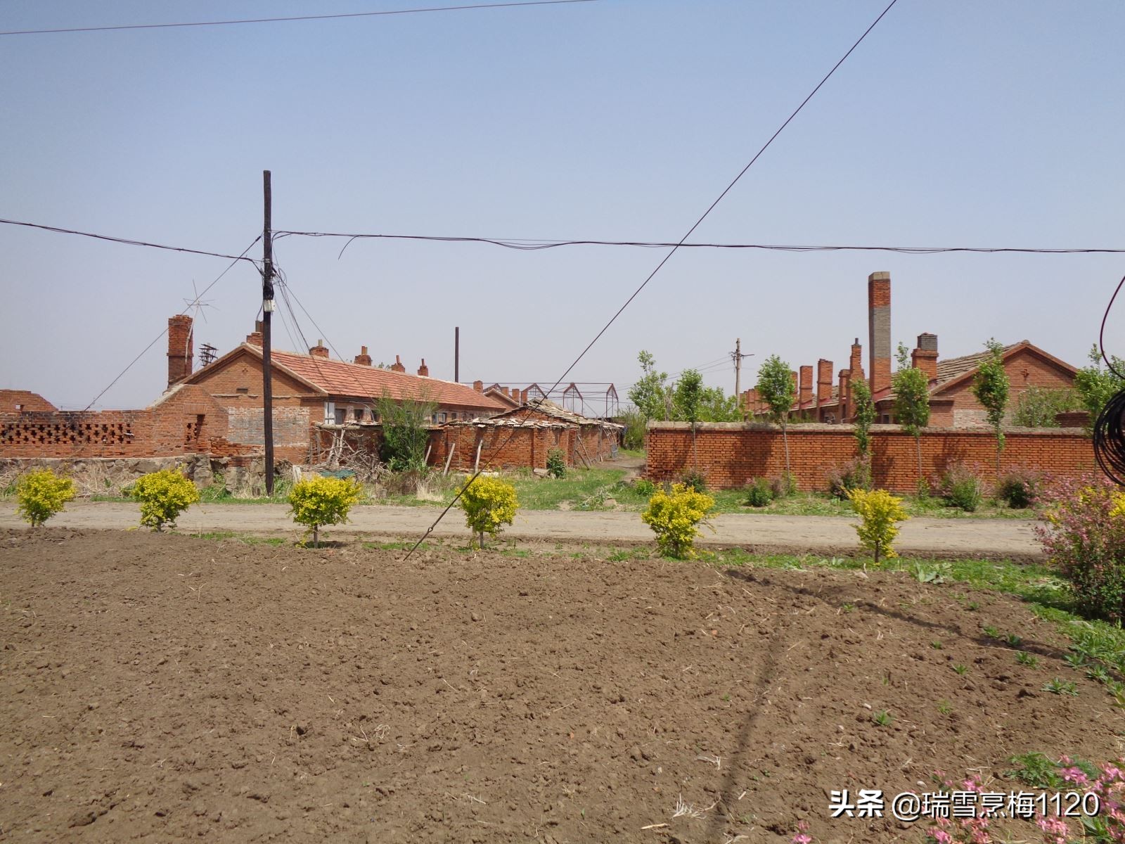 沈北*物文**|沈北新区黄岗子五七干校牛棚旧址