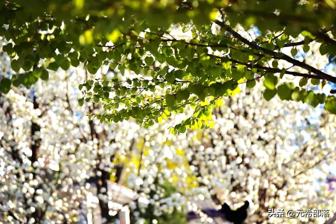 芝加哥周边小城旅游攻略,芝加哥旅游路线地图