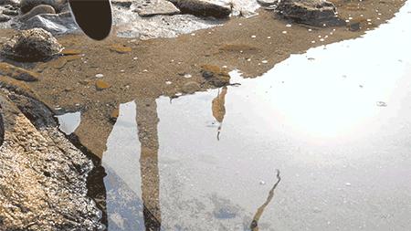 刘强东推荐一双小白鞋,刘强东的鞋子