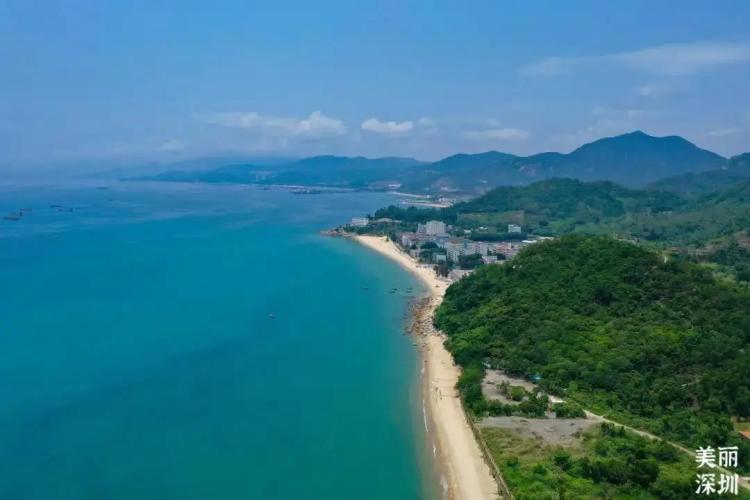 不离深,深圳高颜值绿道推荐一日游正好