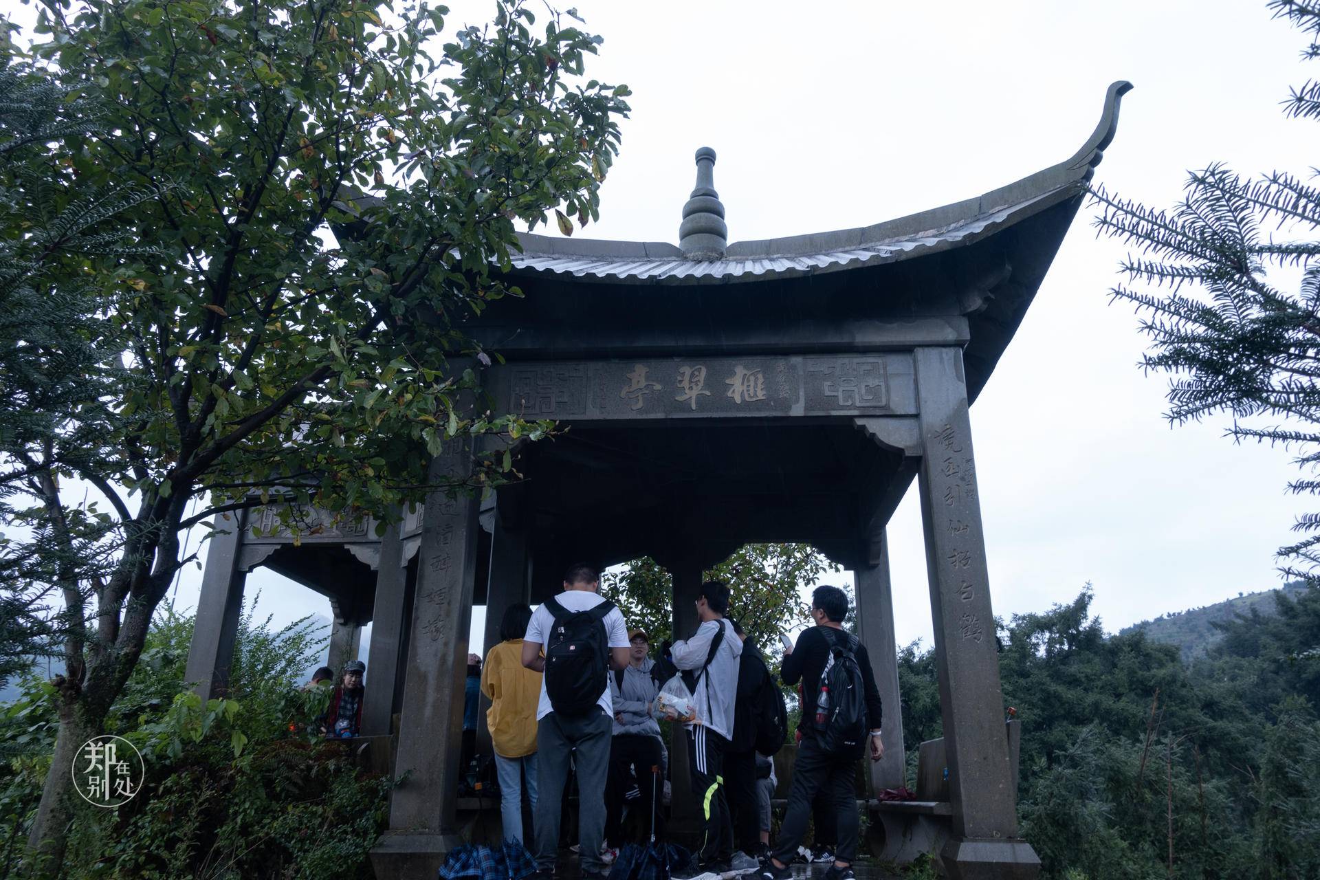 香榧古道,香榧古道徒步路线哪条景色美