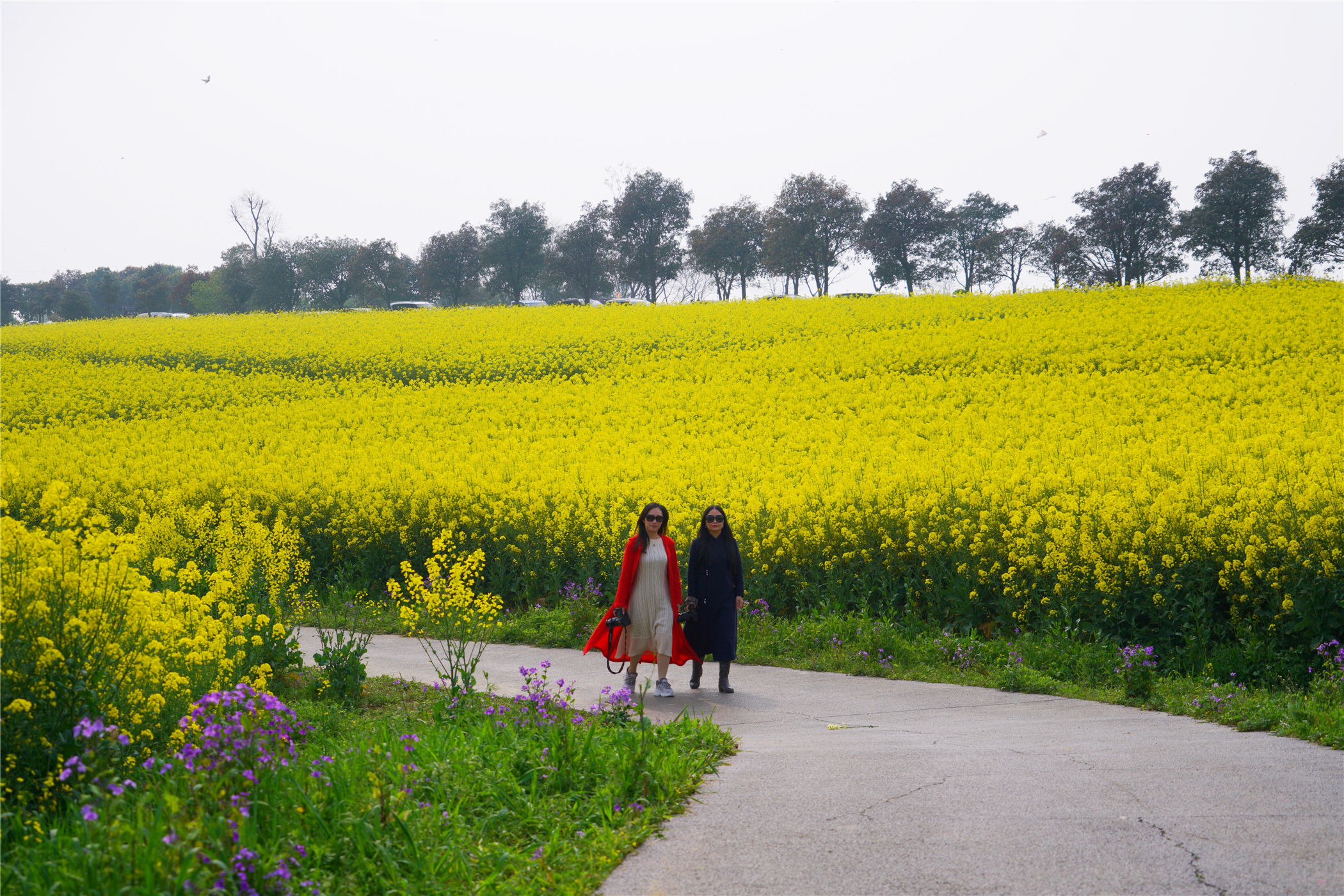 中国第一慢城高淳桠溪,南京高淳桠溪慢城