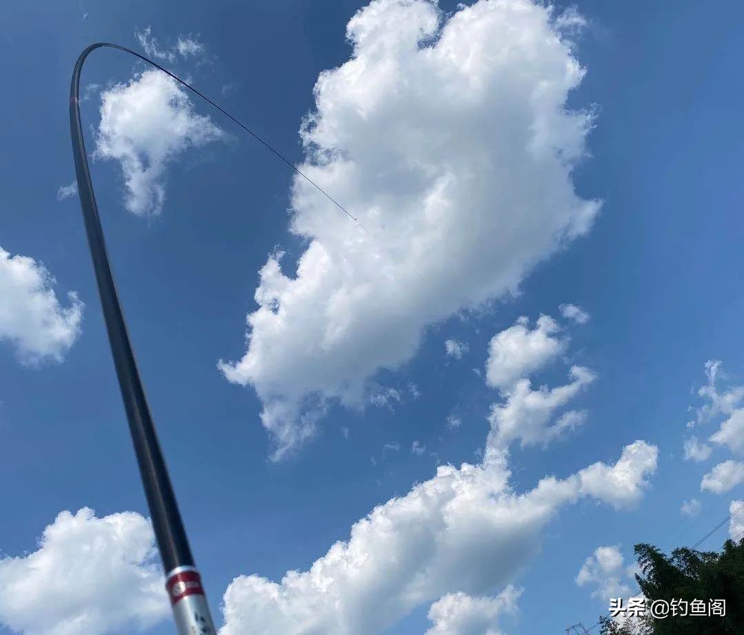 不出名但质量好的鱼竿有哪些,便宜排名前十的鱼竿有哪些