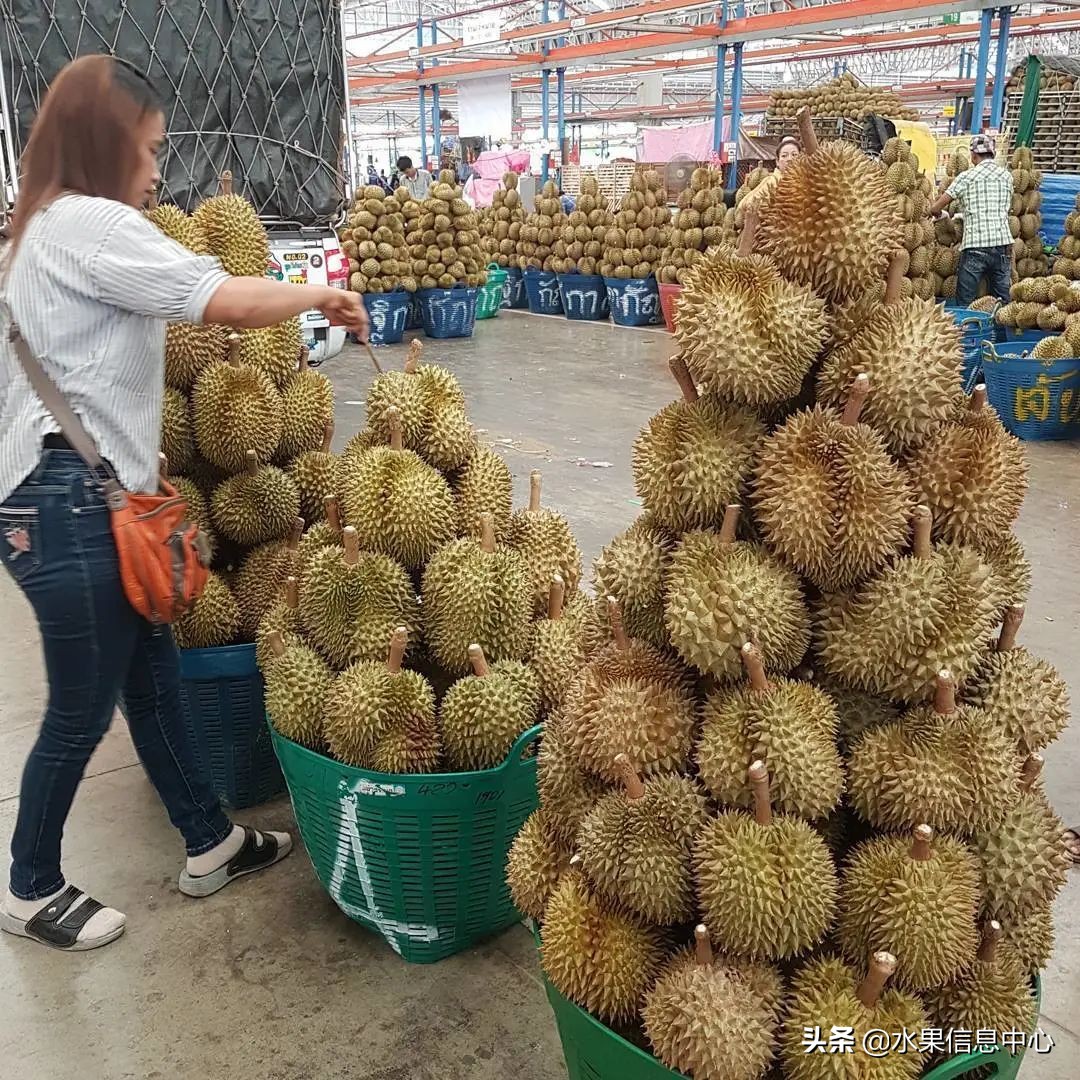 西双版纳水果市场榴莲 (上海亚洲最大的水果批发市场榴莲)
