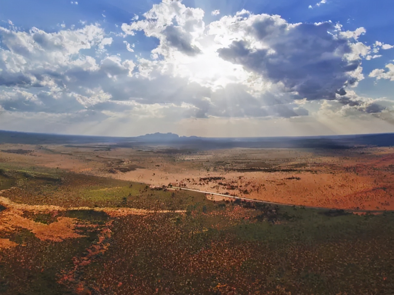 来了澳洲才知道，原来这些都是真的
