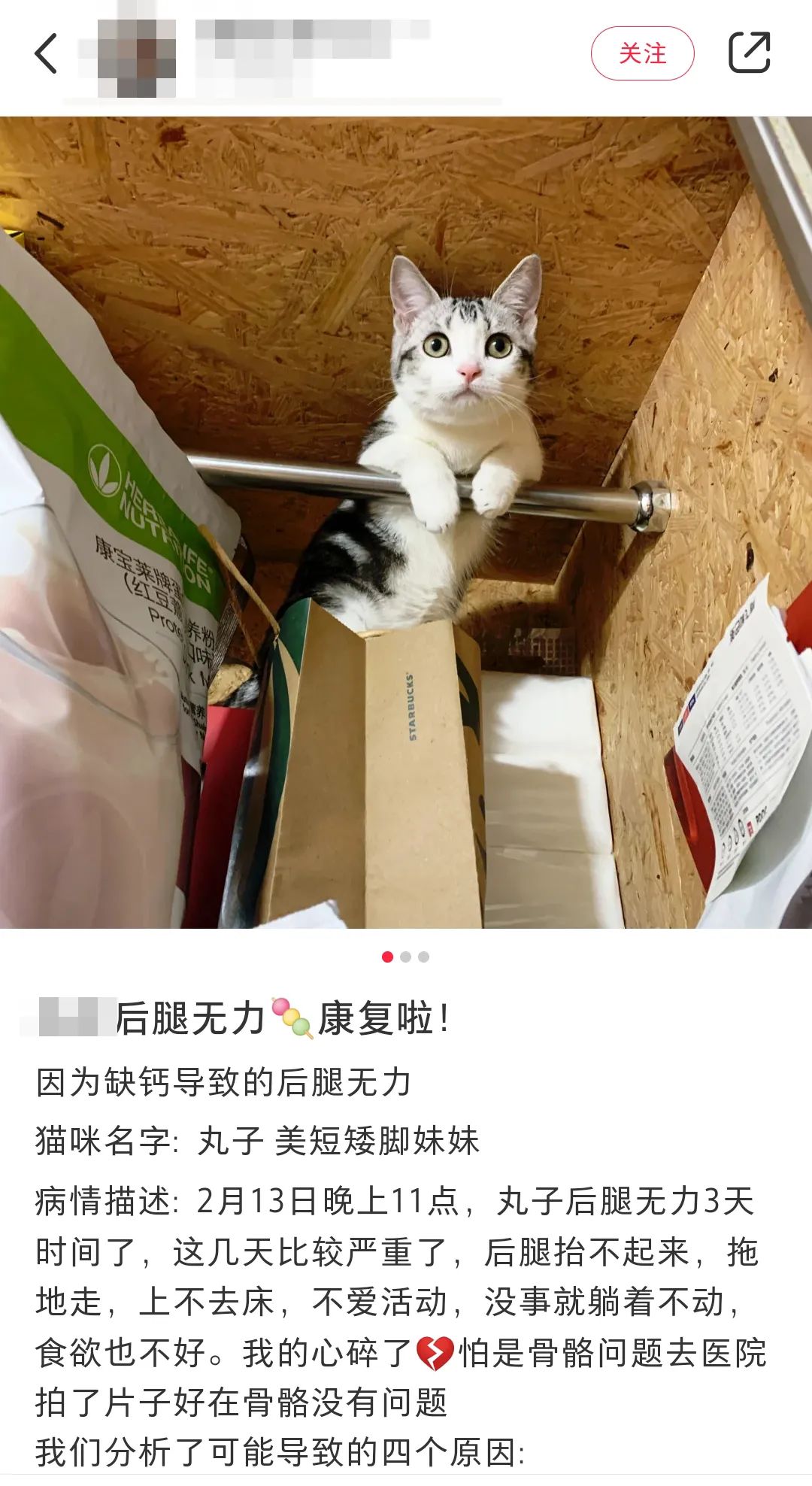 宠物补钙省钱,宠物补钙最快的方法