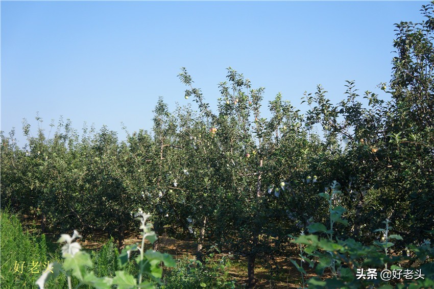 床车自驾游吃住在车上,床车自驾吃住