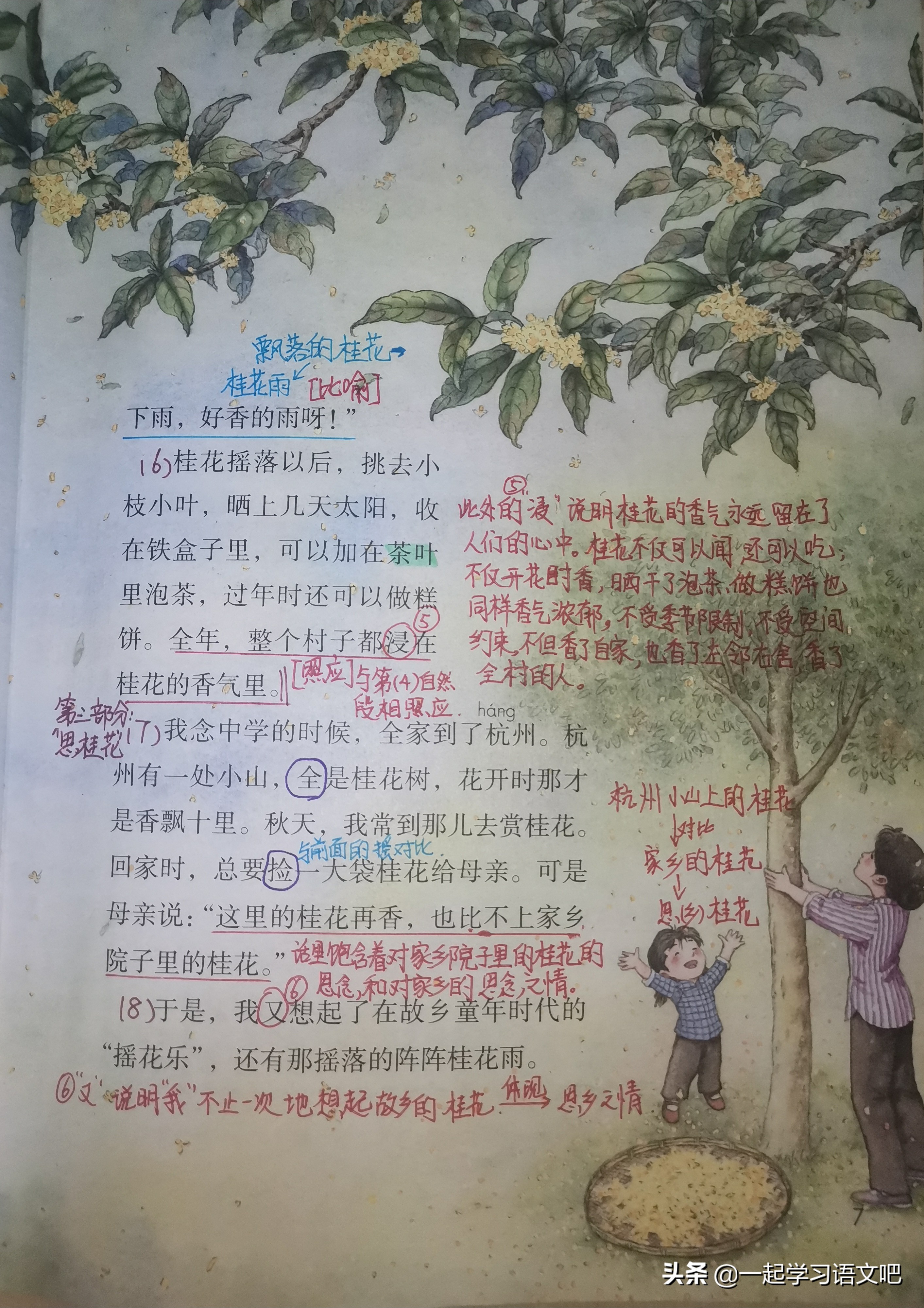 五年级上册语文第一单元必考试卷,五年级上语文单元考点梳理