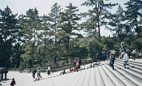 金陵饭店曾经的亚洲第一高楼,80年代南京老照片金陵饭店
