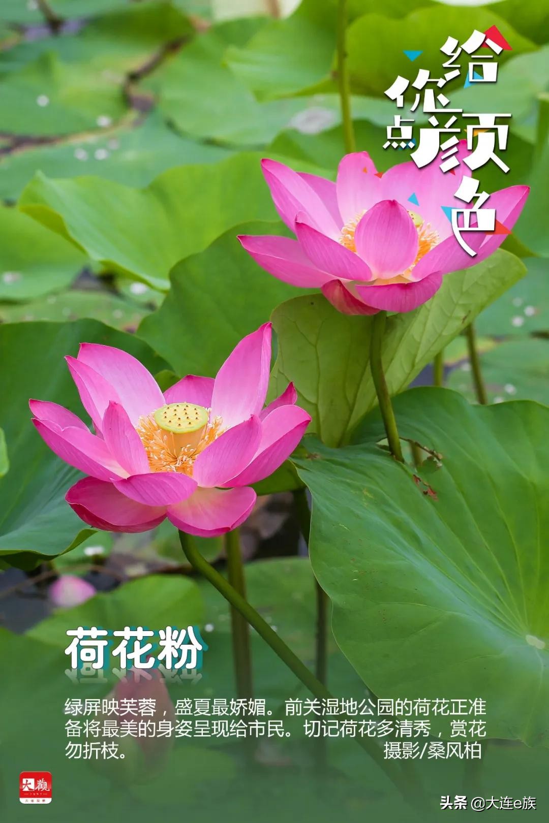 大连给车改色,大连色卡