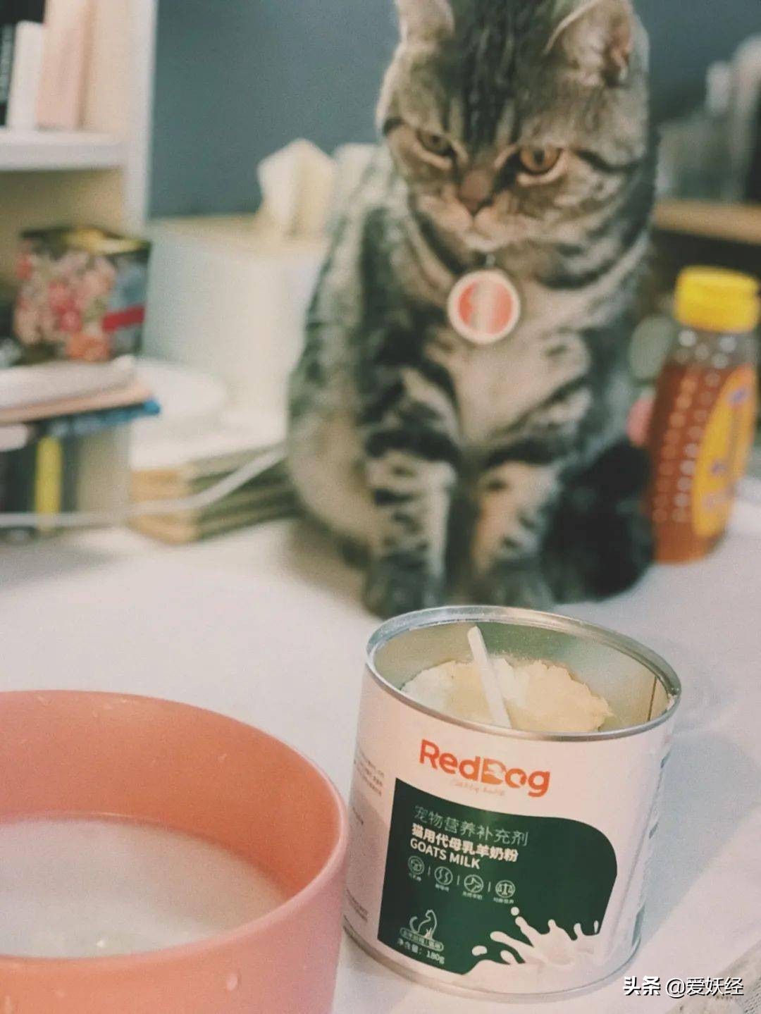 reddog红狗羊奶粉测评,红狗狗狗羊奶粉测评