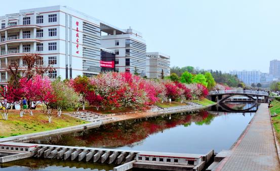 三峡大学2023年在全国的招生人数,三峡大学2024招生专业目录