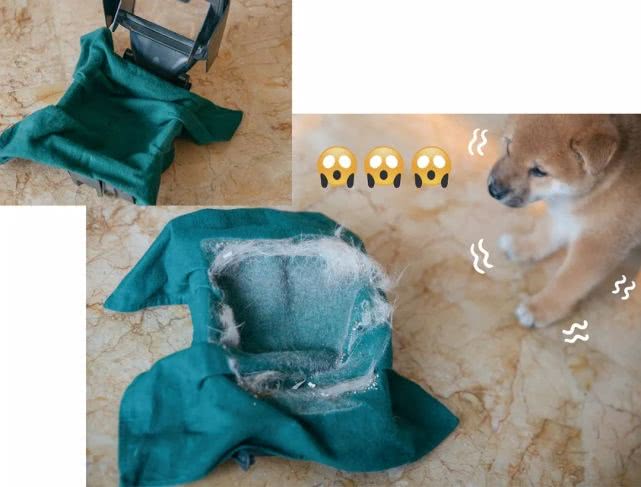 吸尘器遗珠||如此能打的保洁王者，我差点就错过了