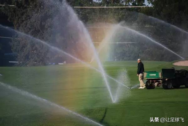 卓尔草皮喷绿漆,卓尔主场草皮事件结果