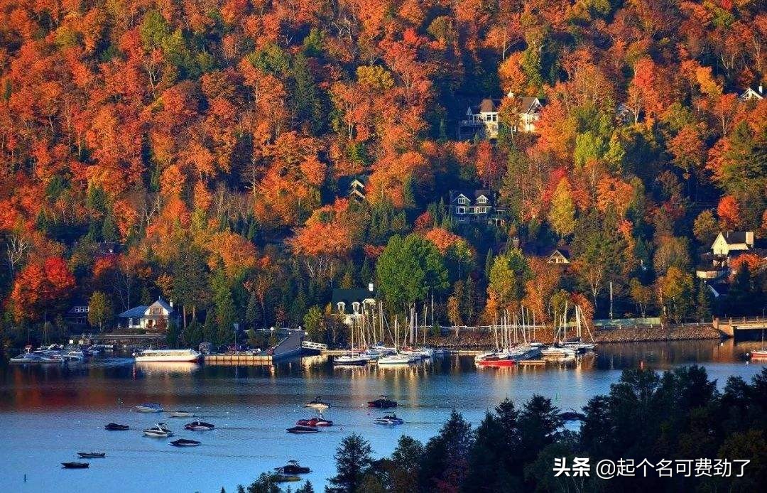 中国护照免签国最值得去的国家,持中国护照最容易入境的免签国家