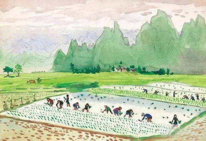 户外活动插秧活动目标,春季户外插秧