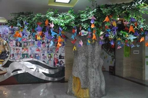 名校巡礼,名校巡礼视频