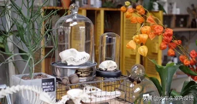 她放弃了总监职位后续,她辞去总监回家扶贫全集