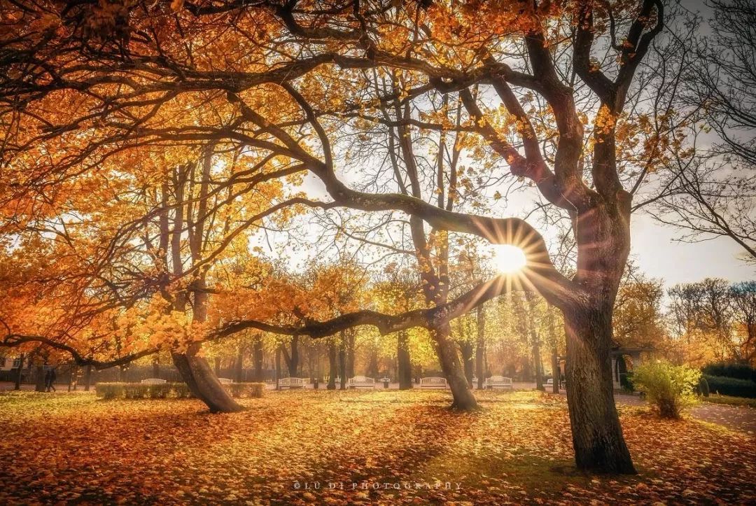 央视祖国大好河山常用的背景音乐,经典的背景音乐央视