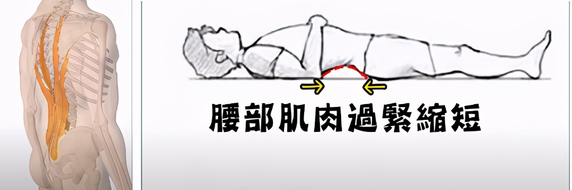 为什么我喜欢侧着睡觉,睡觉仰着睡还是侧着睡好