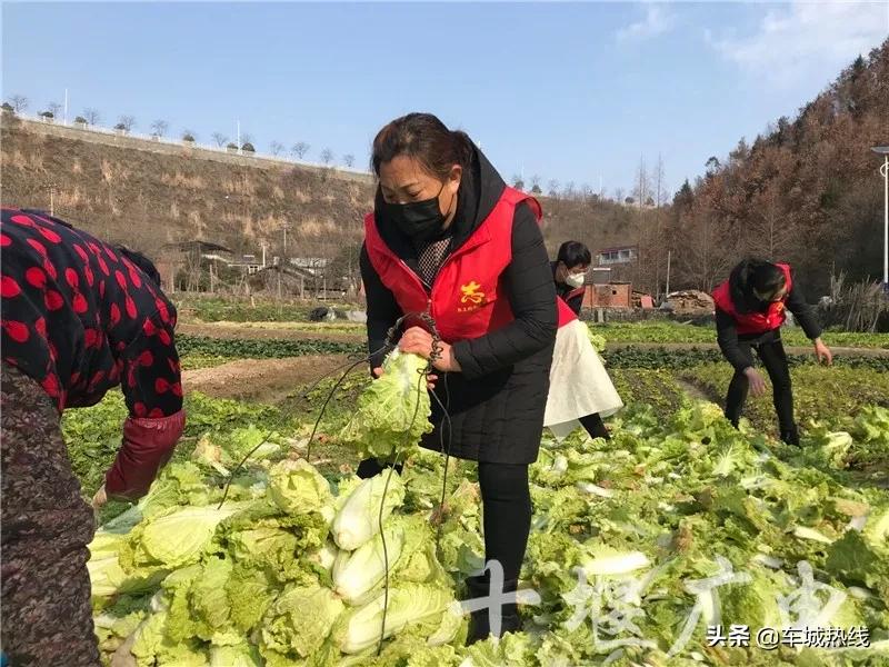 打赢这场仗就回去和你结婚图片,打赢这场仗就回去和你结婚完整版