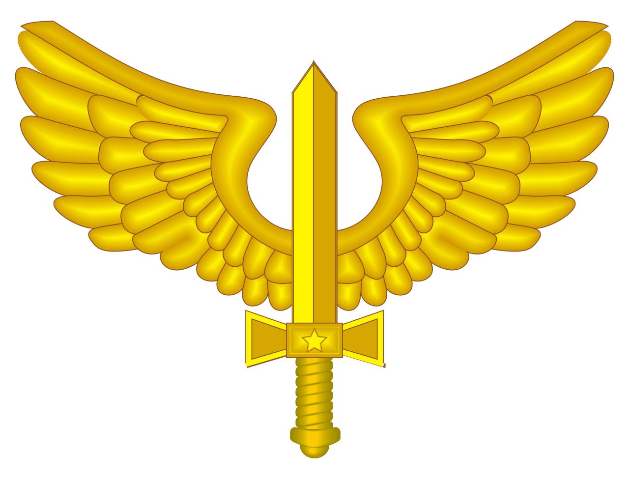 巴西军队标志,巴西海军军衔