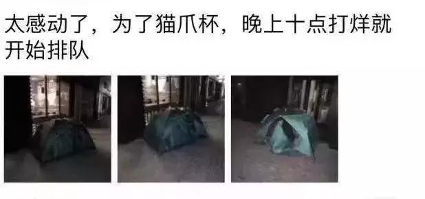 猫爪杯是用真猫做的吗,猫爪杯真的好用吗