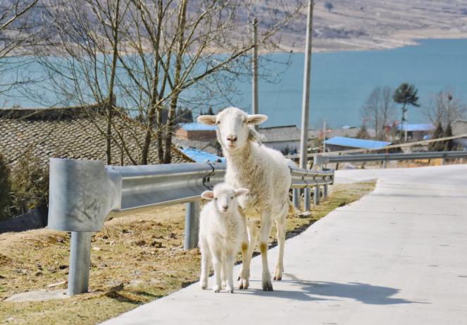 最近旅游好去处推荐,周边好玩的地方推荐一日游