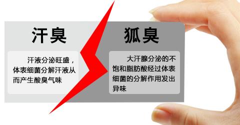 狐臭的原因及去除方法是什么？