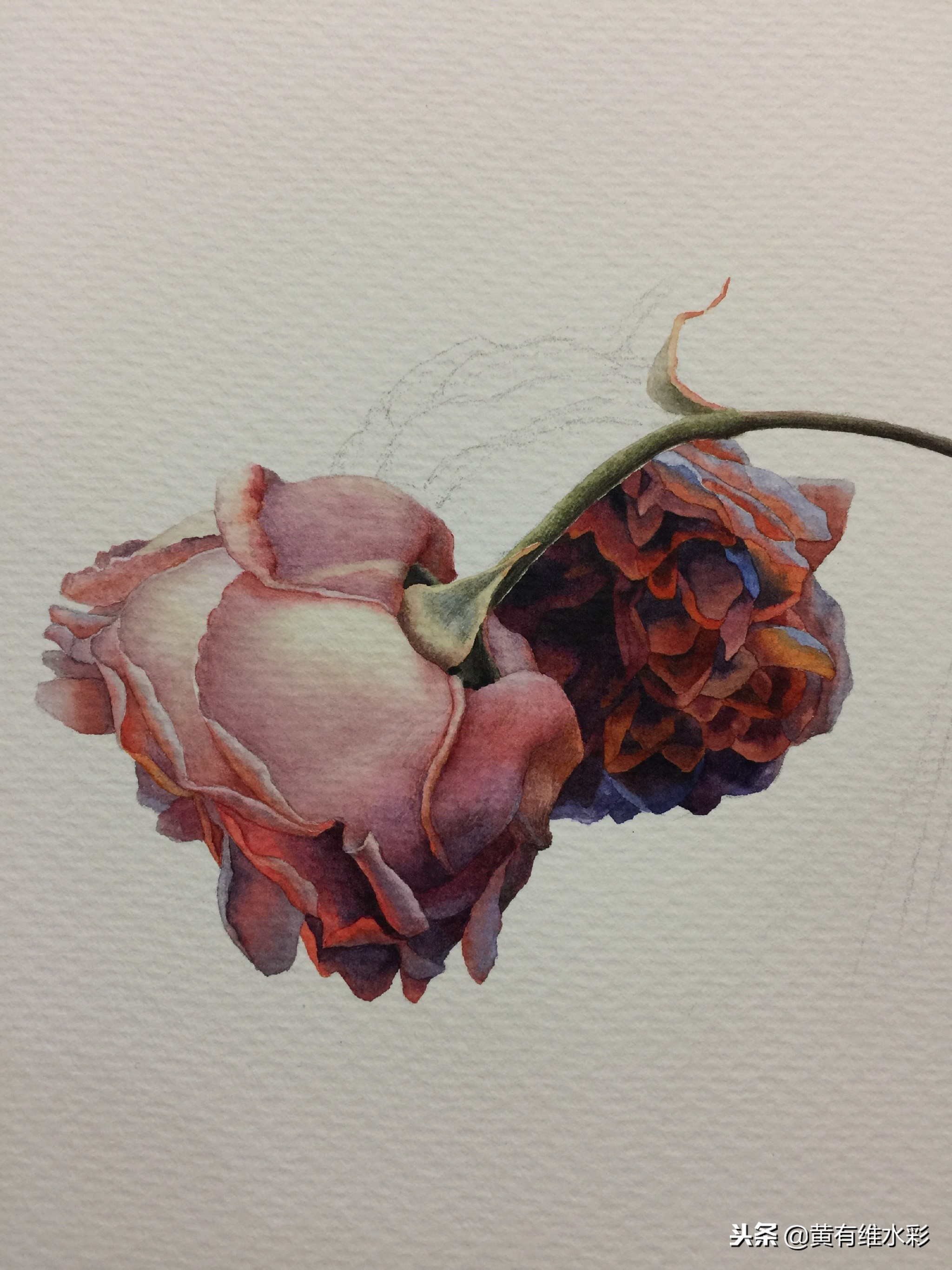水彩教程简单好看手绘图片,水彩教程画花