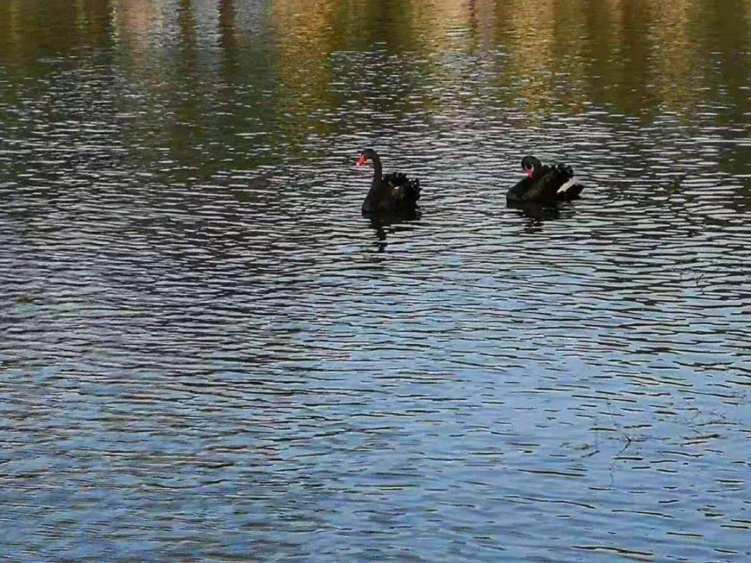 哈尔滨高校绰号,哈尔滨大学搞笑