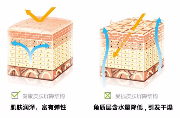如何正确敷面膜补水效果好,坚持敷面膜好不好用