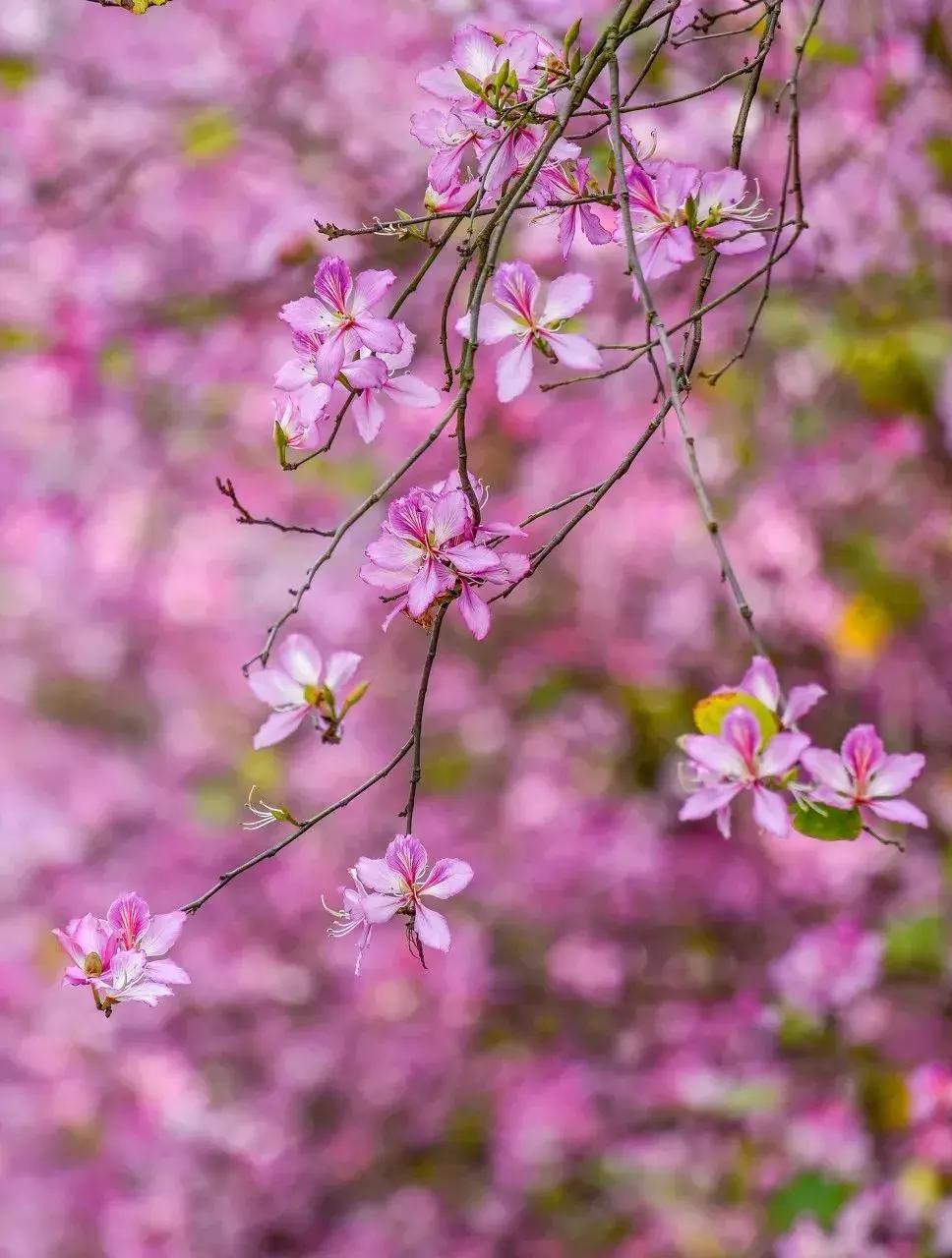 广西有座小城,广西的一座小县城