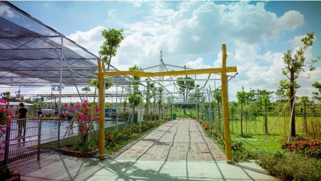 最好的宠物乐园在哪儿,19.9元宠物乐园