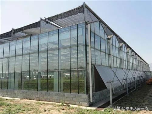 想在农村做什么生意比较好创业,农村创业做什么回本快些