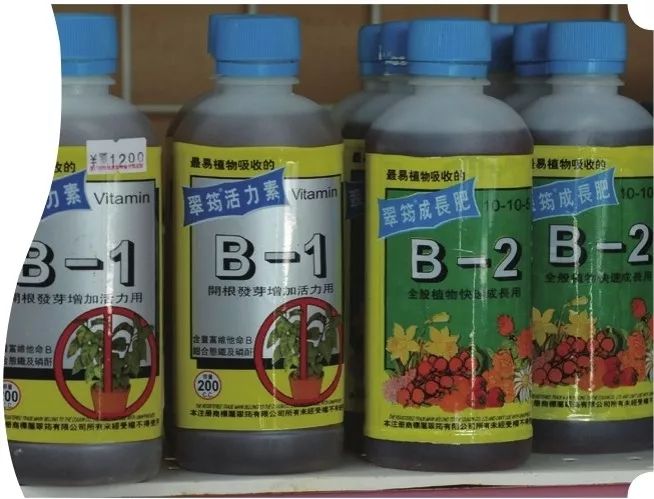 兰花肥料兰花专用土,兰花施肥用什么肥料最好