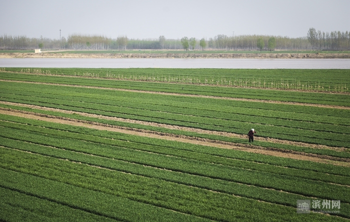 2018时光已走滨州日报90后小美摄影记者定格了您的最美