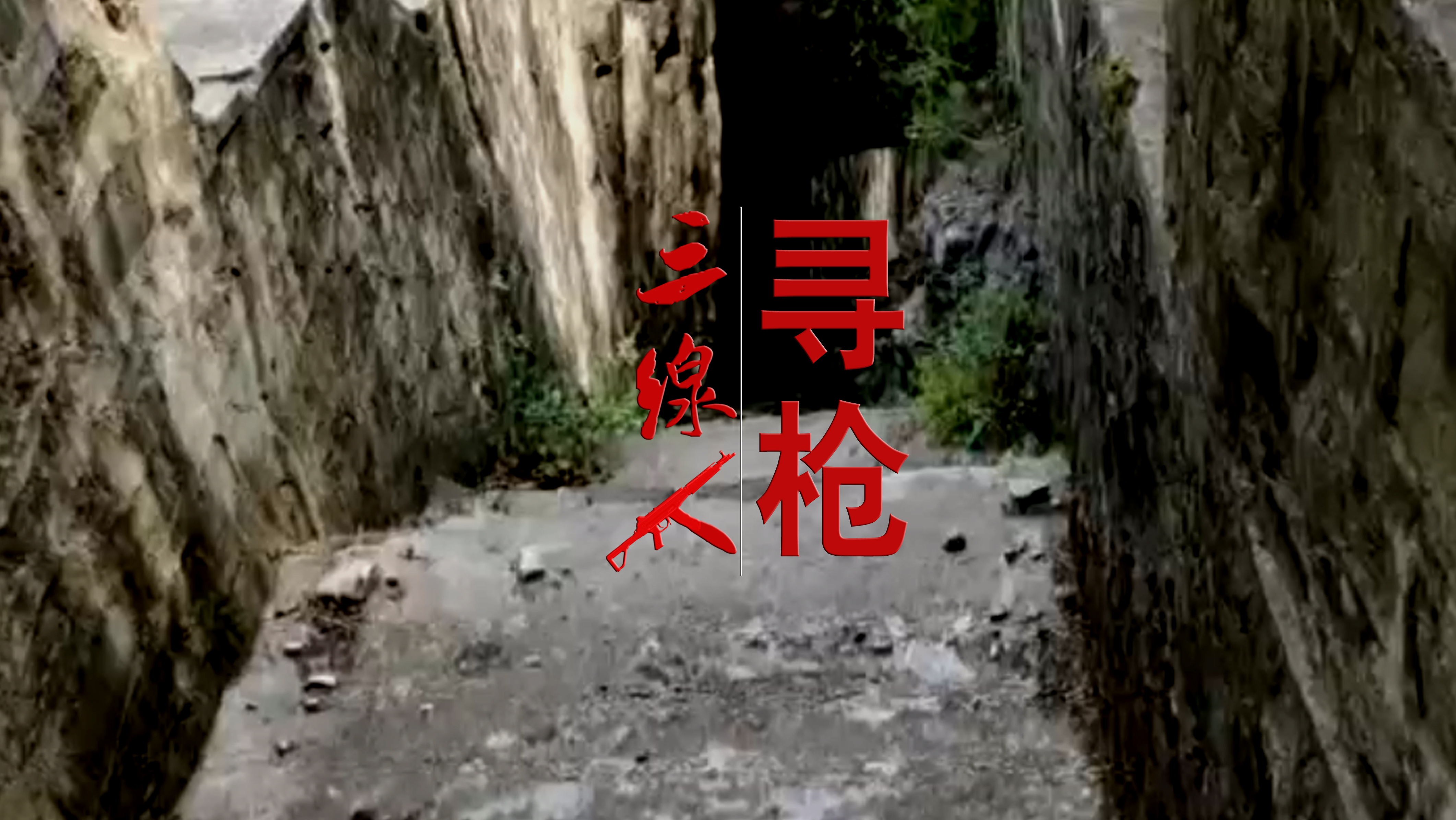 寻枪真实事件,中国十大神秘兵工厂代号