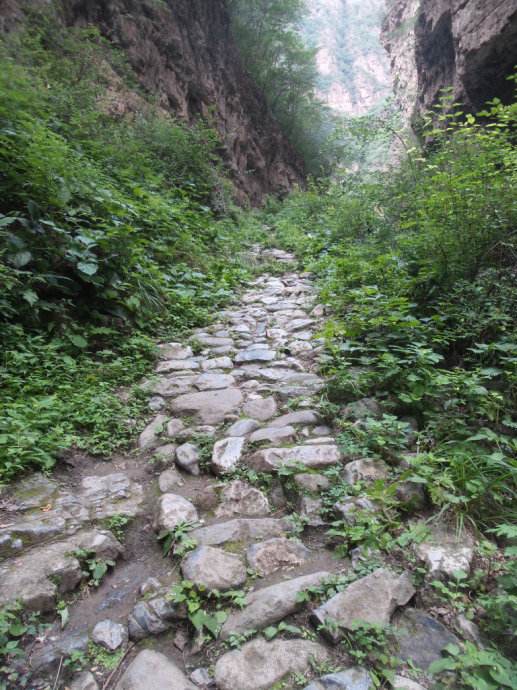 本命年很不顺过了运气会好吗,为什么本命年里容易诸事不顺