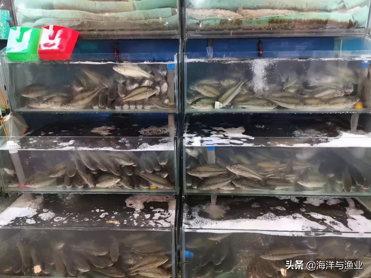 娲婚奔72灏忔椂,娲婚奔杩愯緭30灏忔椂涓嶆