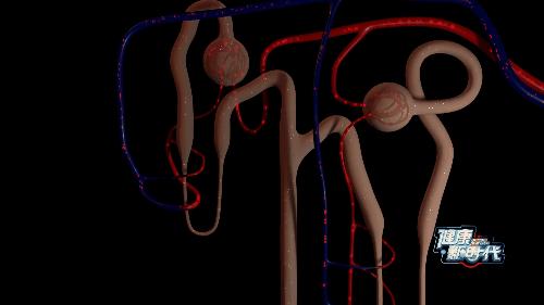 古本易筋经十二式练习,道家千年不传之秘快速补肾法