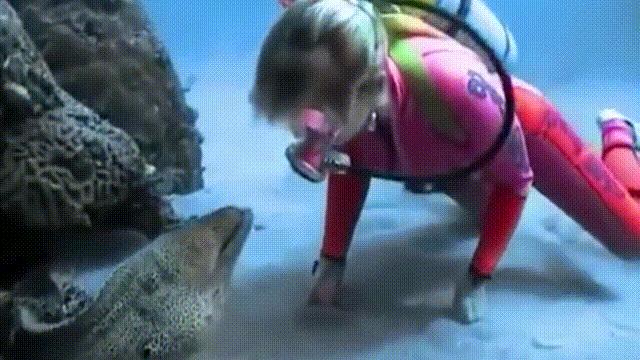 原来，你吃的鳗鱼，每一只都见过海底深渊的秘密｜自说自话的总裁