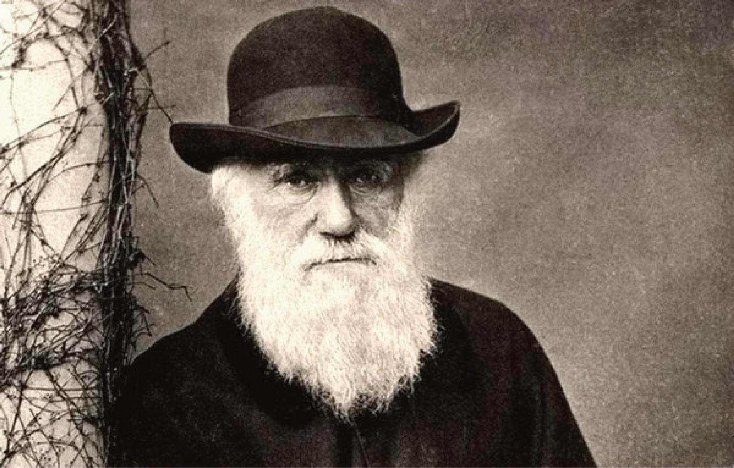 物种起源学说谁提出的,物种起源是进化论产生的结果吗