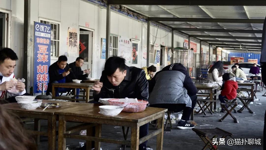 记忆中的莘县,莘县景色