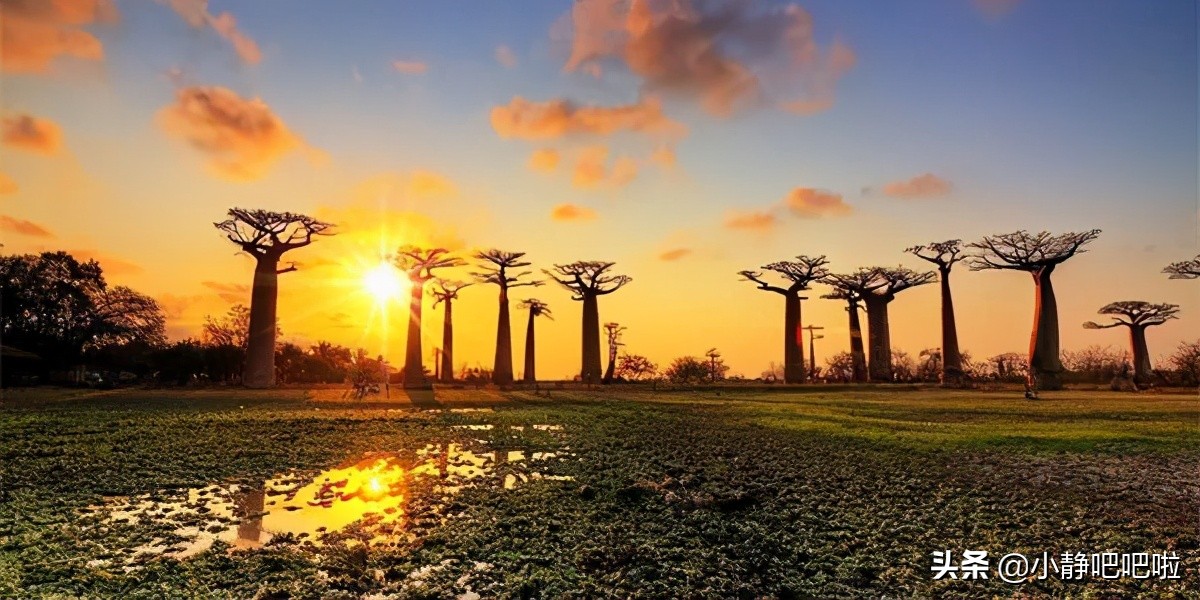 你不知道的国家冷知识卢旺达篇,你不知道的国家冷知识哈萨克