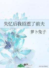 失忆美人宠冠六宫119章,失忆后我宠冠六宫txt全本下载