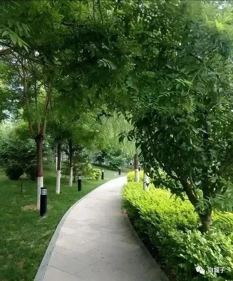 风中飘起歌词,风中飘起简谱