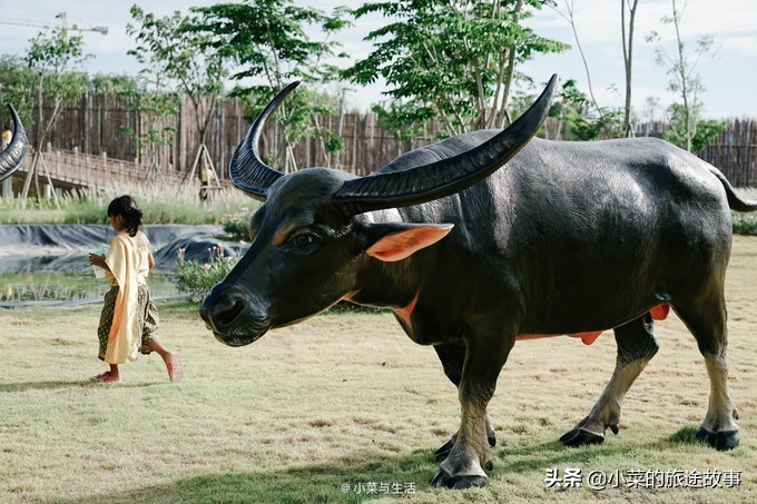芭提雅暹罗湾有什么玩的,泰国芭提雅传奇暹罗主题乐园门票